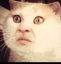 Аскаров Азамат